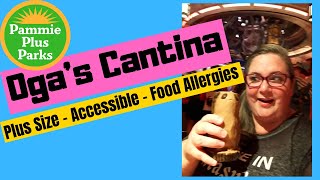 Ogas Cantina Review  Plus Size  Wheelchair  ECV  Stroller  Food Allergy  Autism  Epilepsy [upl. by Neural616]