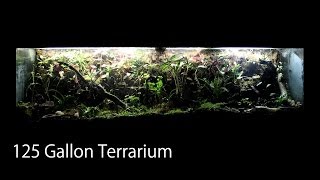 125 Gallon TerrariumVivarium  Anoles Firebellied Toads amp House Gecko [upl. by Ahsahtan]