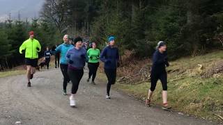 Whinlatter parkrun [upl. by Nunes]