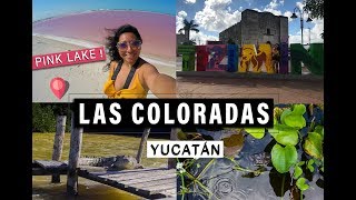 Las Coloradas y Río Lagartos ¡QUÉ HACER Y COMO LLEGAR  Yucatán México HD [upl. by Melantha699]