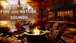 Cozy CAMPFIRE by the LAKE with Nature l CRICKETS BIRDS Lapping WATER Sounds Soft AMBIENT MUSIC [upl. by Ressler]