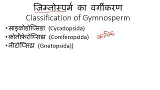 Classification of Gymnosperm Plants in Hindi  अनावृतबीजी पादपों का वर्गीकरण [upl. by Annawd192]