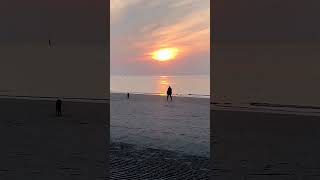 Spaziergang mit Hund im Sonnenuntergang am Strand von Kamperland Zeeland Niederlande shortsvideo [upl. by Kalinda]