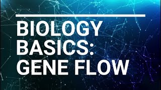 Biology Basics Gene Flow Scientific [upl. by Ardnohsed]