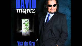 David Marez  Senor Cantinerowmv [upl. by Krefetz]