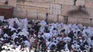 Sukkot  Bircas Kohanim Blessing at Western Wall  Jerusalem [upl. by Miko511]