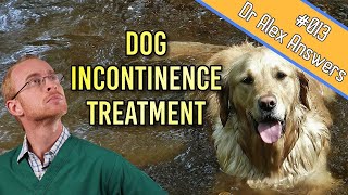 The SAFEST treatment of incontinence in dogs that works [upl. by Ajay18]