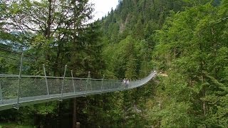 Eine Hängebrücke zur Alp Leiternweide im Simmental [upl. by Hgielime273]