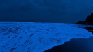 Sueño Profundo de 10 Horas  Olas Nocturnas para Relajación y Alivio del Estrés [upl. by Haleeuqa]