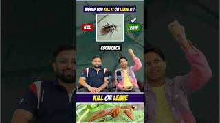 Would you rather challenge  Insects edition  This or that quizgames quiz games [upl. by Alle523]