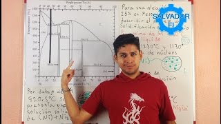 Solidificación en Equilibrio en Diagrama de Fases NiSn  Metalurgia  Somos FI [upl. by Nivrem]