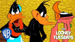 Looney Tuesdays  Daffy Duck the Looniest of Them All  Looney Tunes  WB Kids [upl. by Eirrehc]