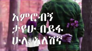 Bizuayehu Demissie Yehilme Nigist የህልሜ ንግስት lyrics [upl. by Croft]