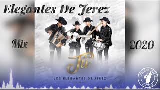 Los Elegantes De Jerez  mix 2020 [upl. by Tome]