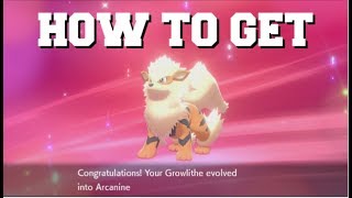 HOW TO EVOLVE GROWLITHE INTO ARCANINE IN POKEMON SWORD AND SHIELD HOW TO GET THE FIRE STONE [upl. by Vinny]