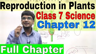 Class 7 Science Chapter 12 Reproduction in Plants Full Chapter [upl. by Ainez645]