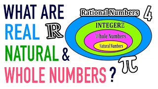 Cardinality Example with 01 [upl. by Sudnor]