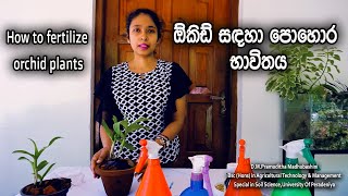 ඕකිඩ් සදහා පොහොර භාවිතය how to fertilize orchids for better growth [upl. by Laohcin]