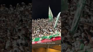 TORCIDA DO PALMEIRAS DANDO AULA DE ARQUIBANCADA DENTRO DO MORUMBI shortsfutebol [upl. by Yesrej]