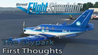 Microsoft Flight Simulator 2020  The Skypark  First Experience [upl. by Teodor]