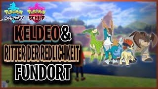 KELDEO amp DIE RITTER DER REDLICHKEIT Fundorte in Pokemon Schwert Schild [upl. by Bhatt]