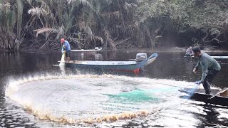 Menjala Udang Sungai Passin Yang Terkenal  Seram Sejuk Rasa Melihat Mereka Menyelam Jala Sangkut… [upl. by Dowdell]