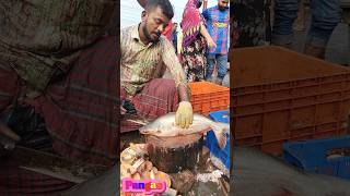 Amazing Great Delicious Pangas Fish Cutting Techniques  Fish Cutting Skills [upl. by Curley760]