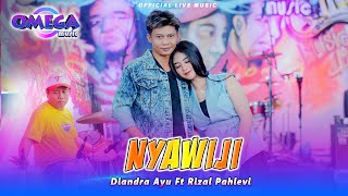 Nyawiji  Diandra Ayu Ft Rizal Pahlevi Omega Music [upl. by Nylirahs]