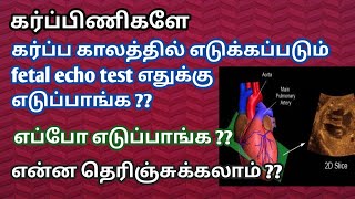 what is fetal echo test during pregnancy in tamil  Full details about fetal echo scan in tamil [upl. by Naejarual]