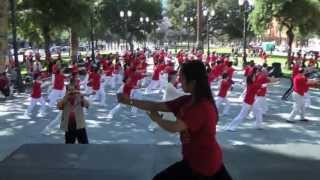 Kung Fu Tai Chi Day group Tai Chi 24 Demonstration [upl. by Navlys]