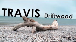 Travis  Driftwood Esfilldesfar cover [upl. by Noryb101]