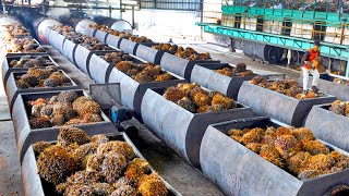 ESTABLISHING A PROFITABLE COMMERCIAL OIL PALM FARM a stepbystep guideland preparation to harvest [upl. by Kirred]