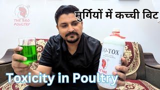 Toxicity in Poultry  Toxicity को कैसे रोकें मुर्गियों में कच्ची बिट पतली भूरी बिट होने पे क्या करे [upl. by Bond40]