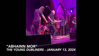 quotAbhainn Morquot live  The Young Dubliners [upl. by Leakcim]