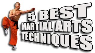 Top 5 Best Martial Arts Techniques [upl. by Terrena341]