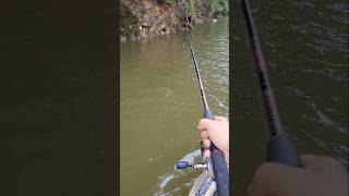 Bright Lures in Muddy Water on Lake Lanier [upl. by Perr563]