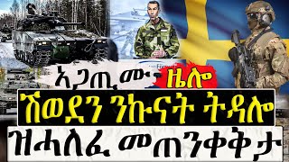 Dasna Tv   እዋናዊ ዛዕባ   ሽወደን ንኩናት ትዳሎ  11012024 [upl. by Tolliver224]