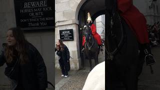 Lady settling photographer while Royal Guard horse photography shorts [upl. by Gibbie]