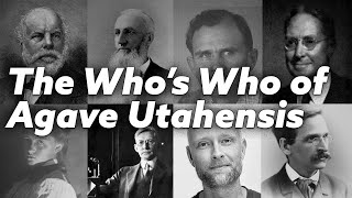 The Whos Who of Agave Utahensis Scientists Botanists and Explorers [upl. by Gradey593]