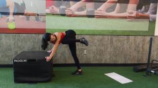 Standing Fire Hydrants  Glutes Exercise [upl. by Rennug]