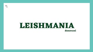 What is Leishmaniasis and Leishmania  Leishmania donovani  Life Cycle Treatment  MEDZUKHRUF [upl. by Breger]