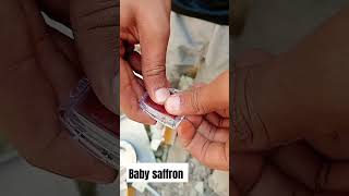 baby saffron kesar 😍 trending ytshorts viral saffron [upl. by Liu693]