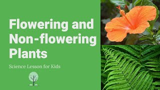 Flowering and Nonflowering Plants  Differences Examples and Reproduction  Science Lesson [upl. by Berthold199]