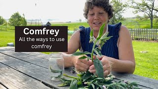 Comfrey How we use this controversial herb on the homestead [upl. by Laehpar]