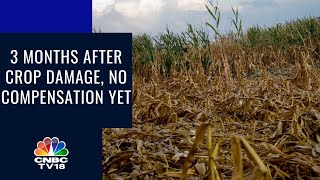 3 Months After Crop Damage No Compensation Yet  CNBC TV18  Digital [upl. by Wolfe]