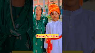 Pyaari Dadi Maa  Dadi Song whatsapp status Sameer Chaudhary parwana Bulandshahr song [upl. by Fidelas273]