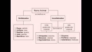 PROYECTO 10 elaborar mapas conceptuales para la lectura valorativa [upl. by Dnalel]