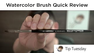 Watercolor Brush Quick Review Da Vinci Casaneo Oval Brush Tip Tuesday [upl. by Adnauq]