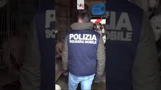 La polizia salva 12 cani maltrattati a Niscemi news shorts animali [upl. by Yanahs]