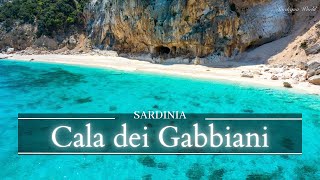 quot Cala dei Gabbiani quot Il Mare più bello d’Italia 2023 Costa di Baunei  4K  Sardegna World by drone [upl. by Sivartal]